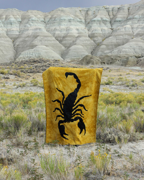 Sunshine Scorpion Appliqué Quilt 56x74