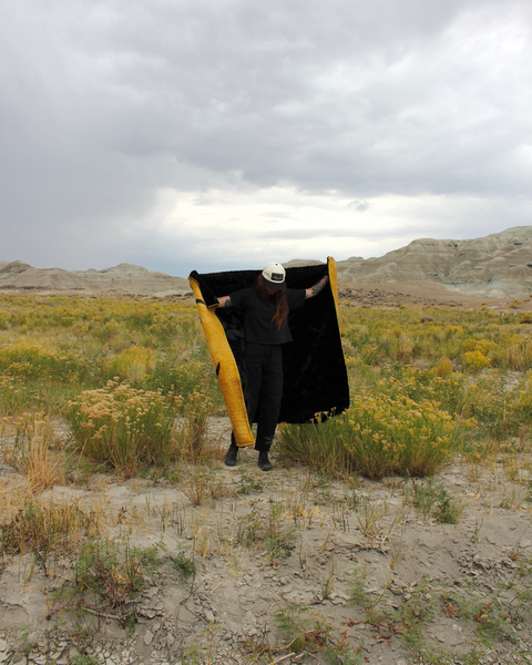 Sunshine Scorpion Appliqué Quilt 56x74