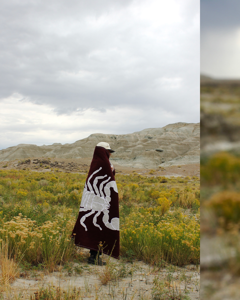 Moonbeam Scorpion Appliqué Quilt 56x74