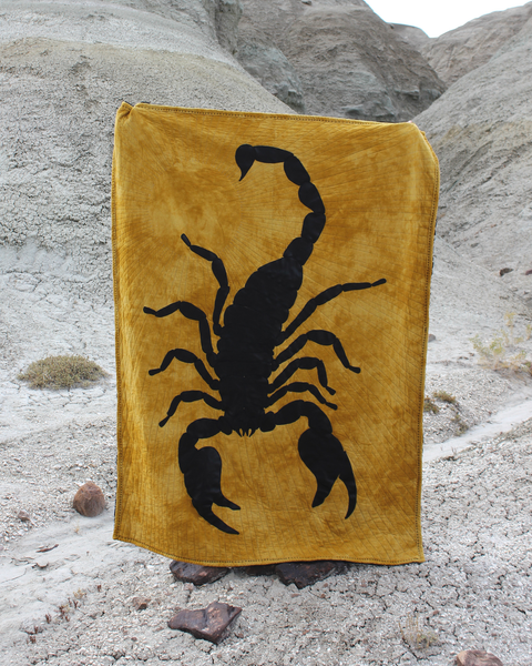 Sunshine Scorpion Appliqué Quilt 56x74